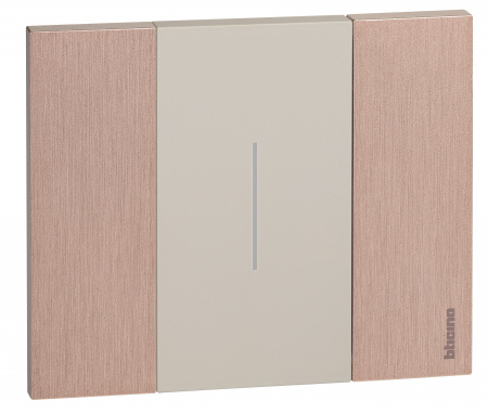 BT Living now Медь Рамка немецкий стандарт 2 мод