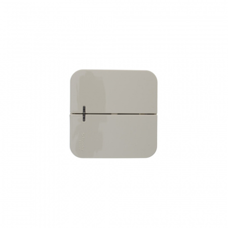 SE Blanca наруж Беж Выключатель 2-клавишный (cх.5) с подсветкой, изолир. пластина 10А,250B