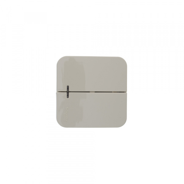 SE Blanca наруж Беж Выключатель 2-клавишный (cх.5) с подсветкой, изолир. пластина 10А,250B