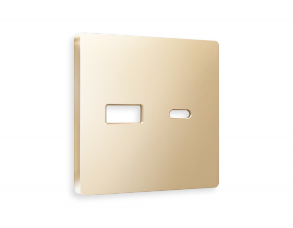 Лицевая панель ALFA (Шампань) для розетки 2USB тип A+C QUANT AP6110
