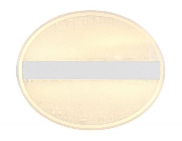 Потолочный светодиодный светильник Ambrella light Original FA606