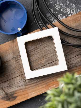 EKF PROxima Стокгольм Белый Линяя шампань Рамка 1-ая