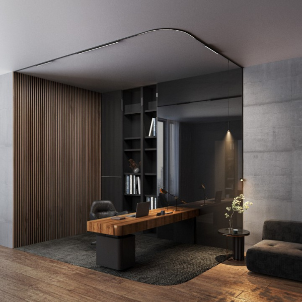 Mini Magnetic Ввод питания (черный) 85172/00 Elektrostandard Mini Magnetic a065632