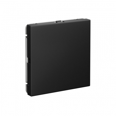 Systeme Electric ArtGallery Карбон Заглушка без суппорта для многопостовых рамок