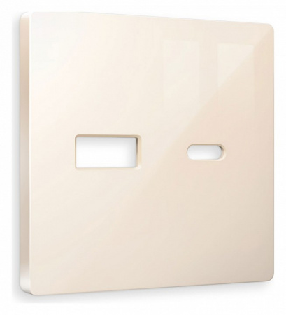 Лицевая панель ALFA (Бежевый глянец) для розетки 2USB тип A+C QUANT AP3110