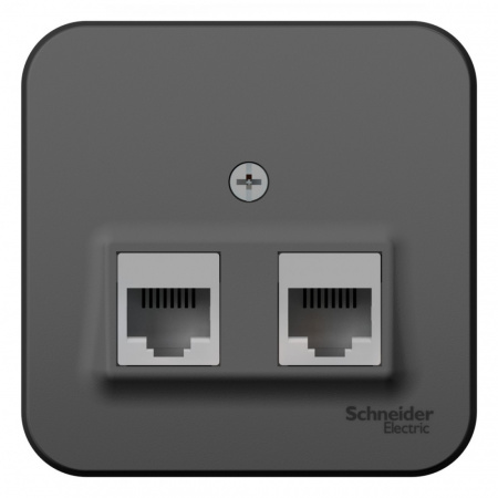 SE Blanca наруж Антрацит Розетка 2-ая компьютерная RJ45, кат.5E, изол. пластина