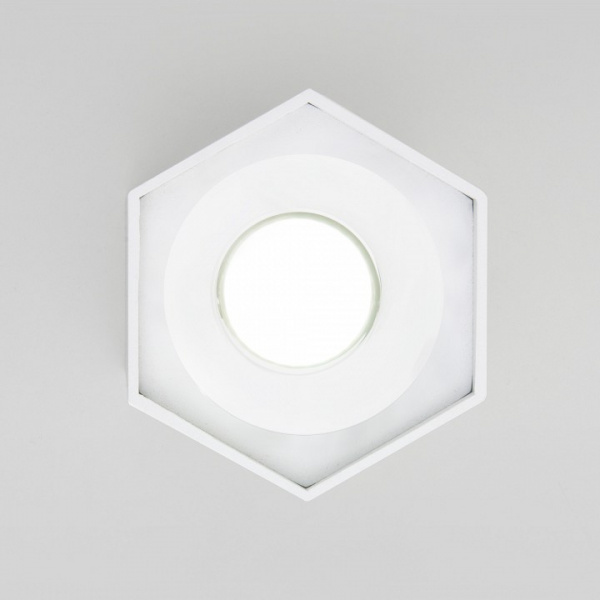 Накладной светодиодный светильник 25037/LED Elektrostandard 25037/LED a055858