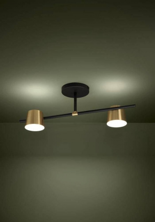 Потолочная люстра Eglo Altamira 39983