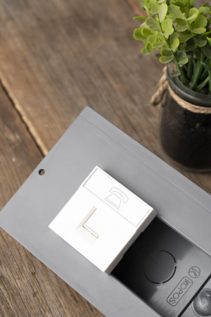 EKF PROxima Розетка RJ-11 (ширина 2 модуля)