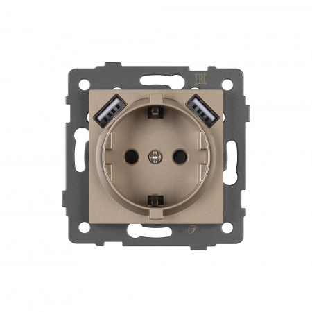 Arlight Механизм розетки с USB зарядкой SCT-MUAA-PL-GD-V (250V, 16A) (-)