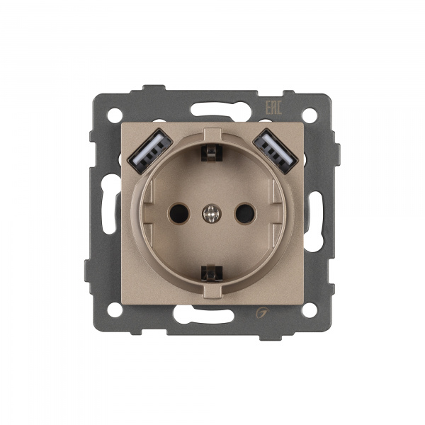 Arlight Механизм розетки с USB зарядкой SCT-MUAC-PL-GD-V (250V, 16A) (-)