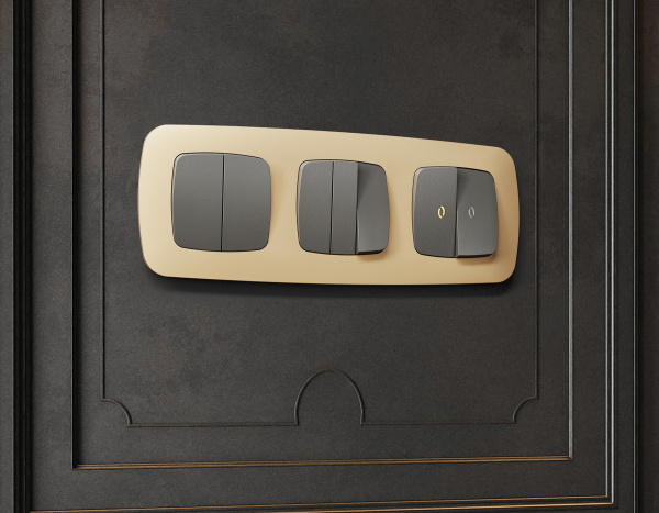 Рамка OMEGA Ecta (Шампань) 2-ая OF140602