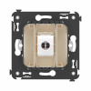 DKC Avanti Компьютерная розетка RJ-45 без шторки в стену, кат.6А одинарная, Ванильная дымка