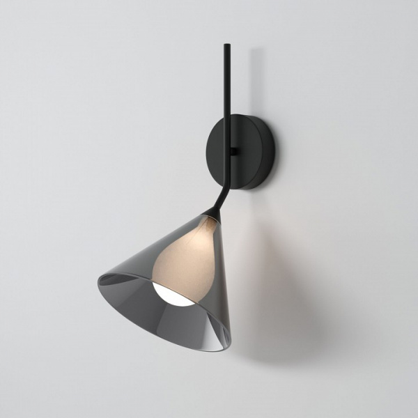 Настенный светильник со стеклянным плафоном 70161/1 черный Eurosvet Enigma