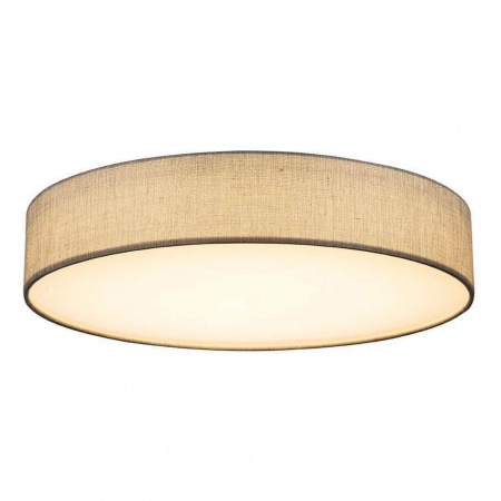 Потолочный светодиодный светильник Globo Paco 15185D5