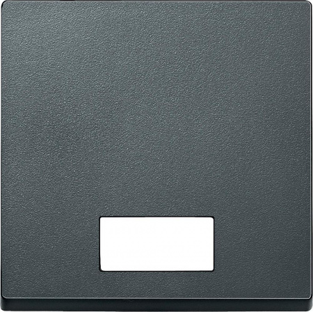 SE Merten SM Антрацит Клавиша 1-ая с окошком, без линзы