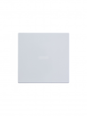 ABB BJE Solo/Future Бел Клавиша 1-ая