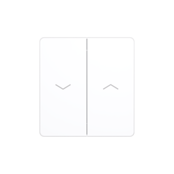 Systeme Electric Systeme Infinity Арктический лед Выключатель для жалюзи, 10А