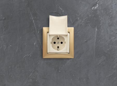 Legrand Valena Крем Розетка 1-ая с/з с крышкой