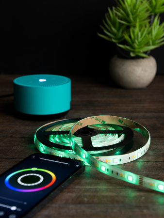 EKF Connect Умная светодиодная лента RGBW 3m