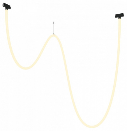 Трековый подвесной светильник Technical TR101-2-100W3K-B Maytoni Tau