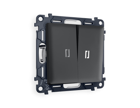 Комплект механизма 2-клавишного выключателя с подсветкой 5600K ALFA MA904015 Графит мягкое касание QUANT