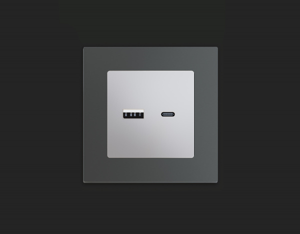 Комплект механизма розетки ALFA MA411010 Серебро глянец 2USB A+C 20W быстрая зарядка QUANT