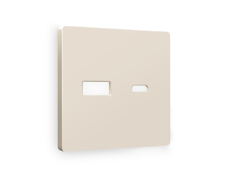 Лицевая панель ALFA (Бежевый матовый) для розетки 2USB A+C QUANT AP3310