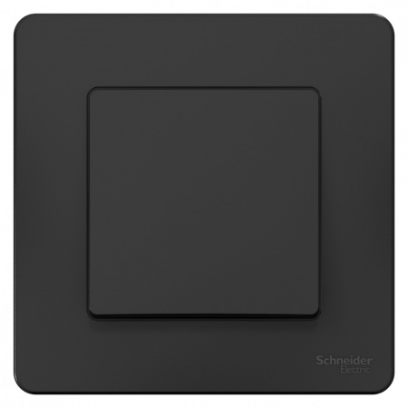 SE Blanca внутр Антрацит Переключатель 1-клавишный, 10А, 250B