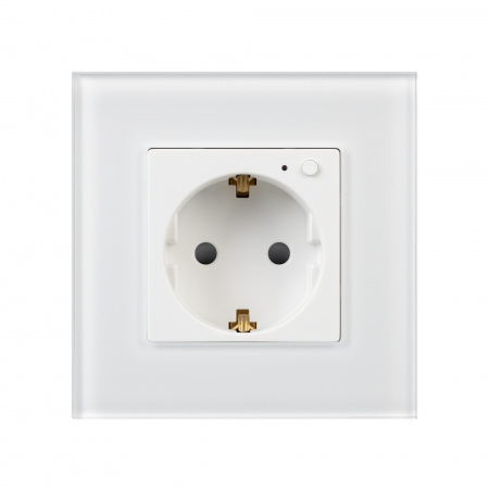 Arlight Розетка электрическая с Zigbee управлением SCT-OMALI-EUZB1-PL-WH (240V, 16A, Zigbee) (-)