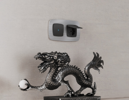 Рамка OMEGA Radian (Серебро Металл шлифованный) 1-ая OF580101