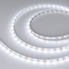 Arlight Лента RT-A60-8mm 12V White6000 (2 W/m, IP20, 2835, 50m) (-)