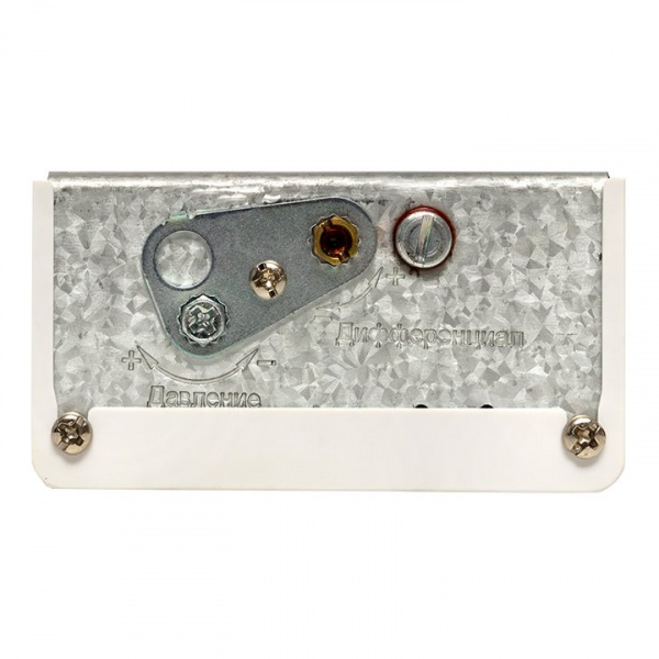 EKF PROxima Реле избыточного давления RVG-20-0,6 (0,6 МПа)