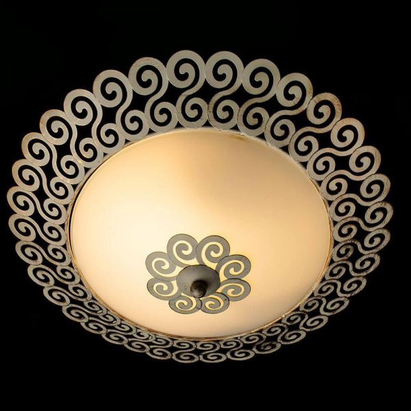 Потолочный светильник Arte Lamp Fleece A4554PL-2WG