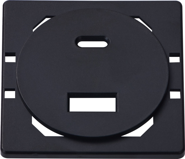 Donel Лицевая панель для USB зарядного устройства A+C, черный, серия N96 Collect, DTP28628