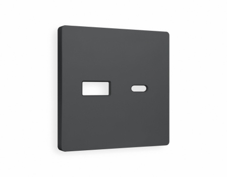 Лицевая панель ALFA (Графит Мягкое касание) для розетки 2USB тип A+C QUANT AP9110