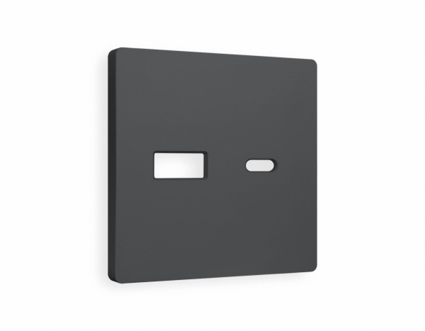 Лицевая панель ALFA (Графит Мягкое касание) для розетки 2USB тип A+C QUANT AP9110