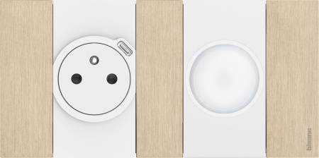 BT Living now Золото Рамка немецкий стандарт 2 поста (2+2 мод)