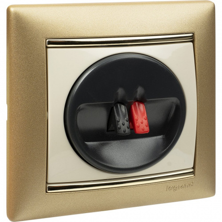 Legrand Valena Матовое Золото Рамка 1-ая