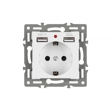 Arlight Механизм розетки с USB зарядкой SCT-MUAA-PL-WH (250V, 16A) (-)