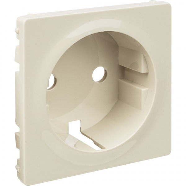 Legrand Valena LIFE Сл.кость Накладка розетки с/з