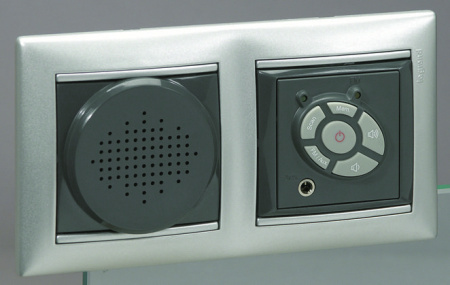 Legrand Valena Алюминий Рамка 2-ая гориз