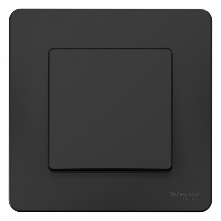 SE Blanca внутр Антрацит Выключатель 1-клавишный, 10А, 250B