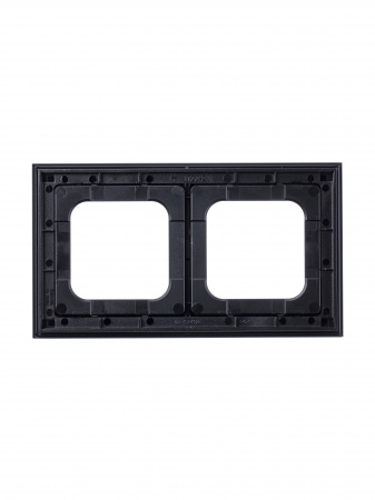 ABB Axcent металл/платина Рамка 2-постовая