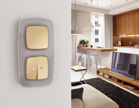 Рамка OMEGA Radian (Сталь Стекло органическое) 1-ая OF320501