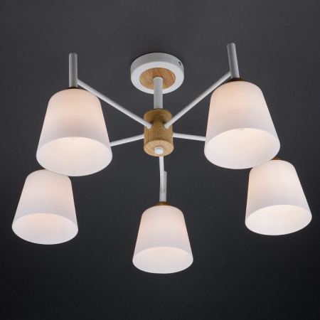 Потолочная люстра с плафонами 70085/5 белый Eurosvet Fresco