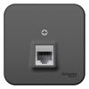 SE Blanca наруж Антрацит Розетка ТЛФ RJ11 изолир. пластина