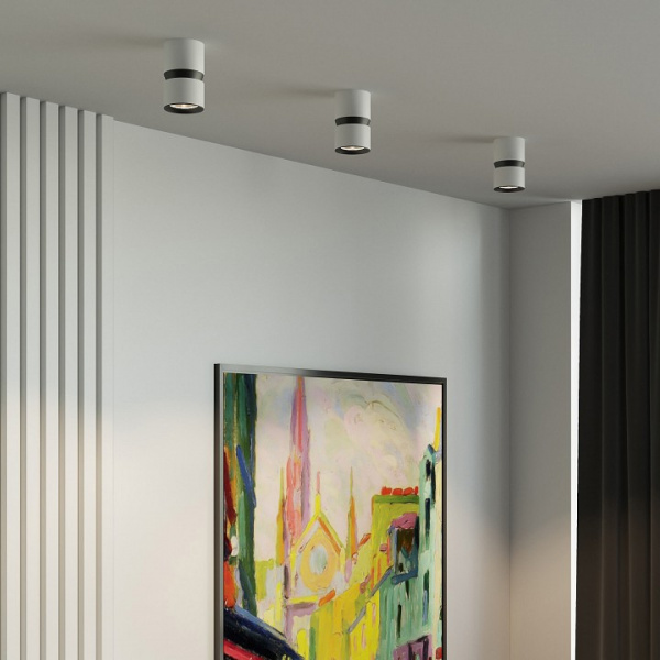 Светильник потолочный светодиодный Kayo 12W 4000К белый/чёрный 25049/LED Elektrostandard Kayo a064731