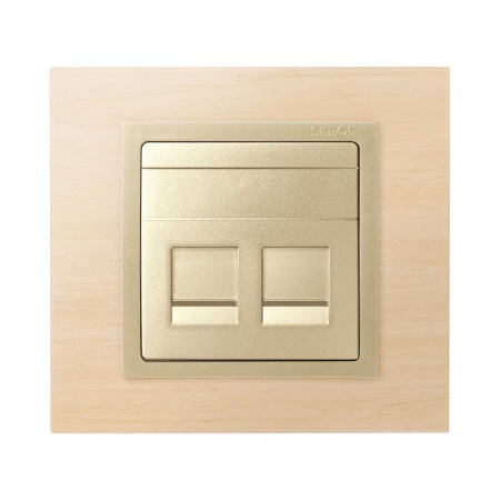 Simon 75 Мех Шампань Адаптер на 2 RJ-45 75540-, 75541-, 75528-, 75544-39 АМР