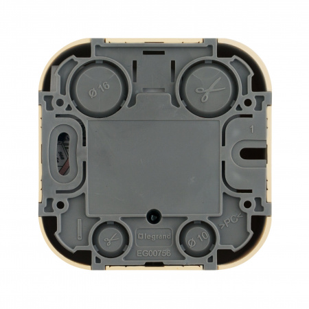 Legrand Quteo Сосна Розетка RJ11